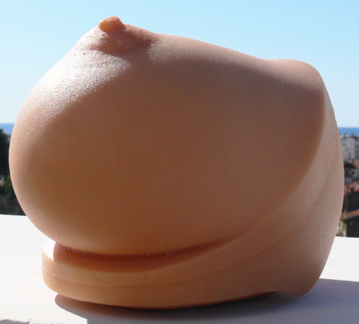 tit and vagina in one toy silicon The Doll Forum